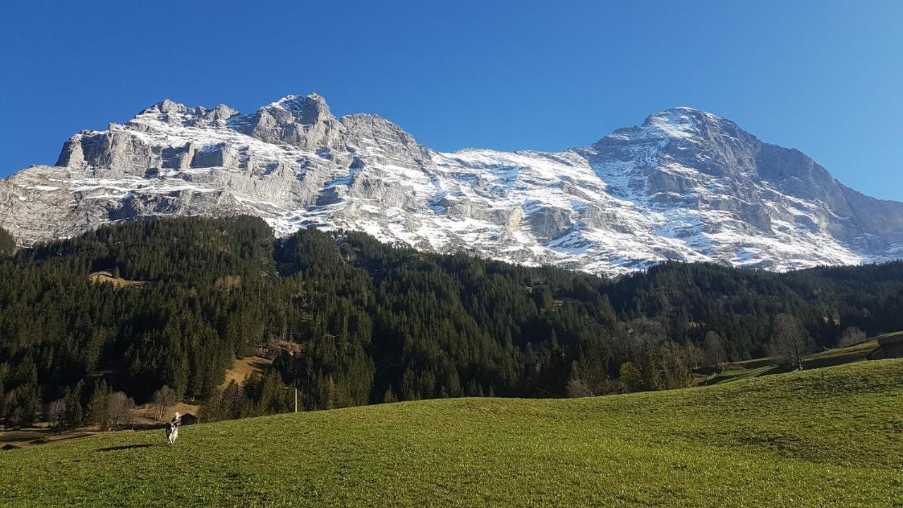 Chalet Bei Der Arve Grindelwald Ngoại thất bức ảnh